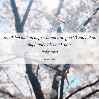 Picture 06 - Job 31:36 NLD - Zou ik het niet op mijn schouder dragen? Ik zou - Bible Verse Picture