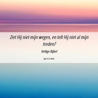 Picture 06 - Job 31:4 NLD - Ziet Hij niet mijn wegen, en telt Hij niet al - Bible Verse Picture