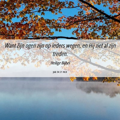 Picture 06 - Job 34:21 NLD - Want Zijn ogen zijn op ieders wegen, en Hij ziet - Bible Verse Picture
