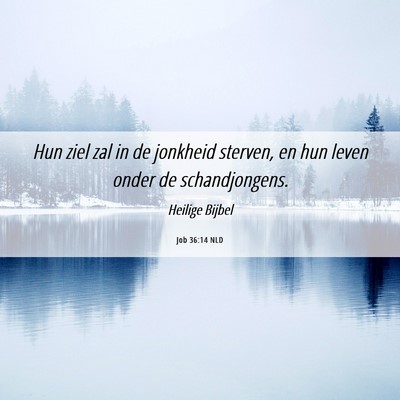 Picture 06 - Job 36:14 NLD - Hun ziel zal in de jonkheid sterven, en hun leven - Bible Verse Picture