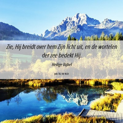 Picture 06 - Job 36:30 NLD - Zie, Hij breidt over hem Zijn licht uit, en de - Bible Verse Picture