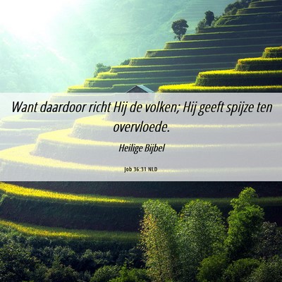 Picture 06 - Job 36:31 NLD - Want daardoor richt Hij de volken; Hij geeft - Bible Verse Picture
