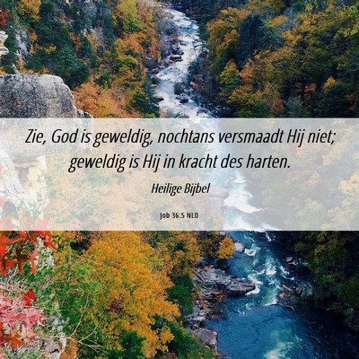Picture 06 - Job 36:5 NLD - Zie, God is geweldig, nochtans versmaadt Hij - Bible Verse Picture