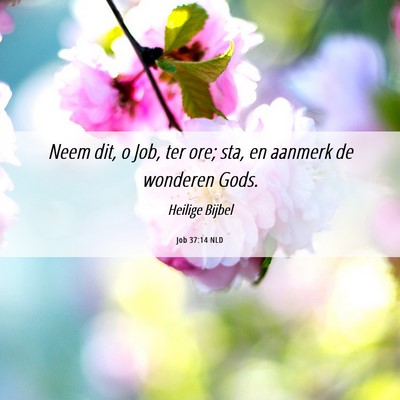 Picture 06 - Job 37:14 NLD - Neem dit, o Job, ter ore; sta, en aanmerk de - Bible Verse Picture