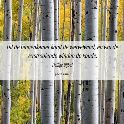 Picture 06 - Job 37:9 NLD - Uit de binnenkamer komt de wervelwind, en van de - Bible Verse Picture
