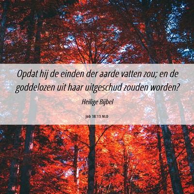 Picture 06 - Job 38:13 NLD - Opdat hij de einden der aarde vatten zou; en de - Bible Verse Picture