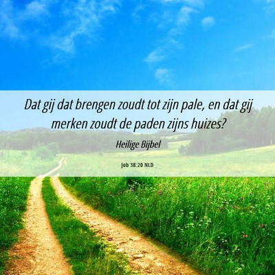 Picture 06 - Job 38:20 NLD - Dat gij dat brengen zoudt tot zijn pale, en dat - Bible Verse Picture