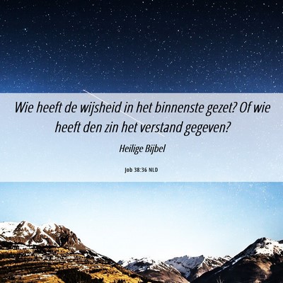 Picture 06 - Job 38:36 NLD - Wie heeft de wijsheid in het binnenste gezet? Of - Bible Verse Picture