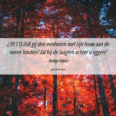 Picture 06 - Job 39:10 NLD - (39:13) Zult gij den eenhoorn met zijn touw aan - Bible Verse Picture