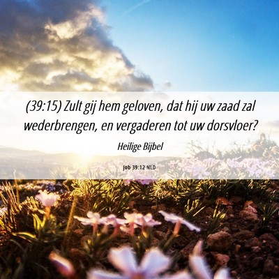 Picture 06 - Job 39:12 NLD - (39:15) Zult gij hem geloven, dat hij uw zaad zal - Bible Verse Picture