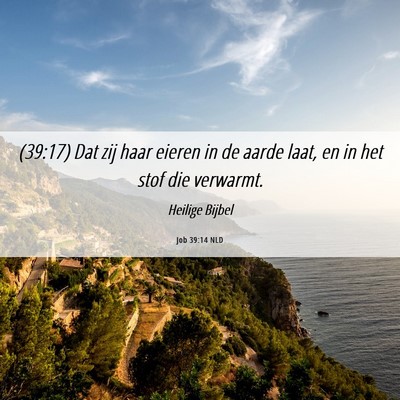 Picture 06 - Job 39:14 NLD - (39:17) Dat zij haar eieren in de aarde laat, en - Bible Verse Picture