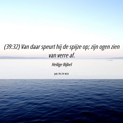 Picture 06 - Job 39:29 NLD - (39:32) Van daar speurt hij de spijze op; zijn - Bible Verse Picture