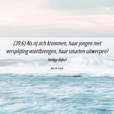 Picture 06 - Job 39:3 NLD - (39:6) Als zij zich krommen, haar jongen met - Bible Verse Picture
