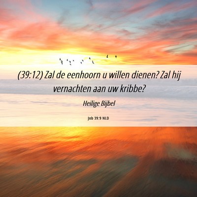 Picture 06 - Job 39:9 NLD - (39:12) Zal de eenhoorn u willen dienen? Zal hij - Bible Verse Picture