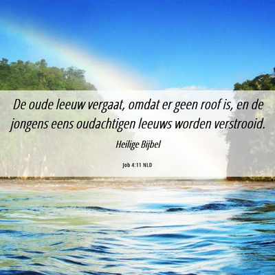 Picture 06 - Job 4:11 NLD - De oude leeuw vergaat, omdat er geen roof is, en - Bible Verse Picture
