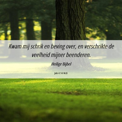 Picture 06 - Job 4:14 NLD - Kwam mij schrik en beving over, en verschrikte de - Bible Verse Picture