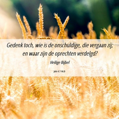 Picture 06 - Job 4:7 NLD - Gedenk toch, wie is de onschuldige, die vergaan - Bible Verse Picture
