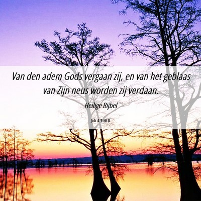 Picture 06 - Job 4:9 NLD - Van den adem Gods vergaan zij, en van het geblaas - Bible Verse Picture