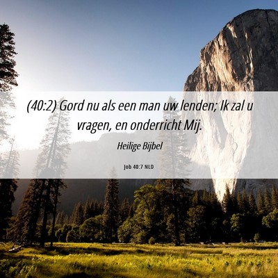Picture 06 - Job 40:7 NLD - (40:2) Gord nu als een man uw lenden; Ik zal u - Bible Verse Picture