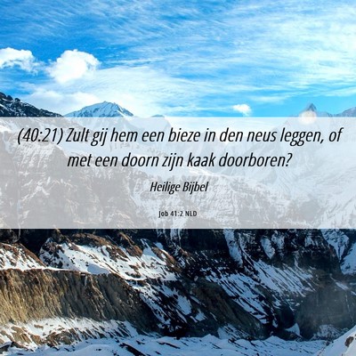 Picture 06 - Job 41:2 NLD - (40:21) Zult gij hem een bieze in den neus - Bible Verse Picture