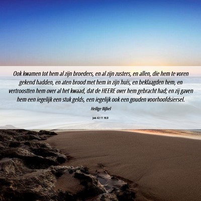 Picture 06 - Job 42:11 NLD - Ook kwamen tot hem al zijn broeders, en al zijn - Bible Verse Picture