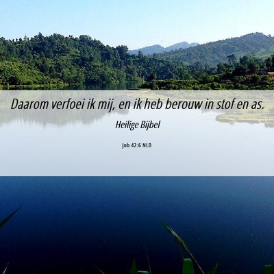 Picture 06 - Job 42:6 NLD - Daarom verfoei ik mij, en ik heb berouw in stof - Bible Verse Picture