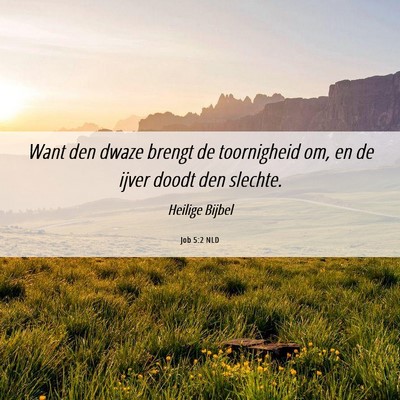 Picture 06 - Job 5:2 NLD - Want den dwaze brengt de toornigheid om, en de - Bible Verse Picture