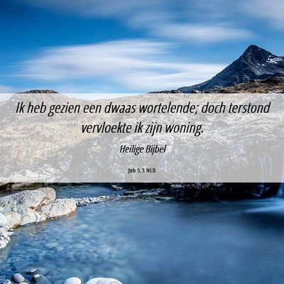 Picture 06 - Job 5:3 NLD - Ik heb gezien een dwaas wortelende; doch terstond - Bible Verse Picture