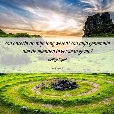 Picture 06 - Job 6:30 NLD - Zou onrecht op mijn tong wezen? Zou mijn - Bible Verse Picture
