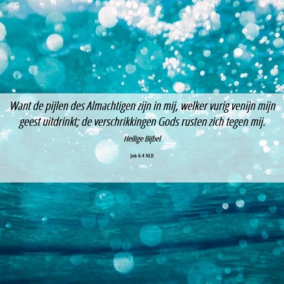 Picture 06 - Job 6:4 NLD - Want de pijlen des Almachtigen zijn in mij, - Bible Verse Picture