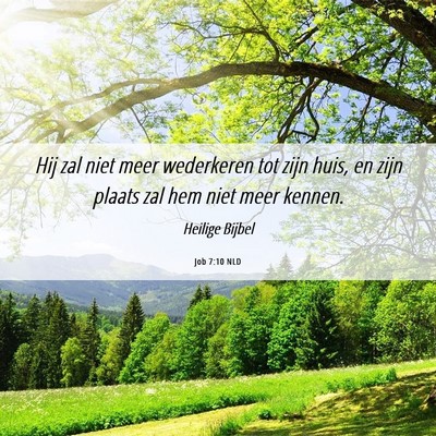 Picture 06 - Job 7:10 NLD - Hij zal niet meer wederkeren tot zijn huis, en - Bible Verse Picture