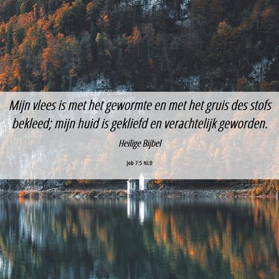 Picture 06 - Job 7:5 NLD - Mijn vlees is met het gewormte en met het gruis - Bible Verse Picture