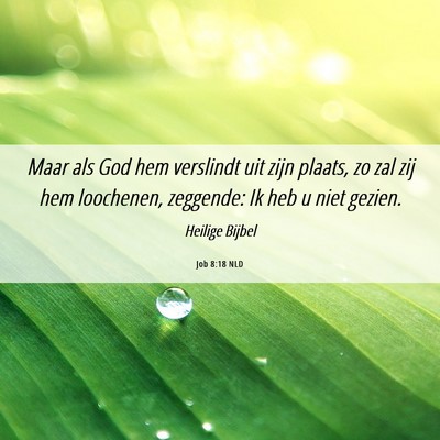 Picture 06 - Job 8:18 NLD - Maar als God hem verslindt uit zijn plaats, zo - Bible Verse Picture