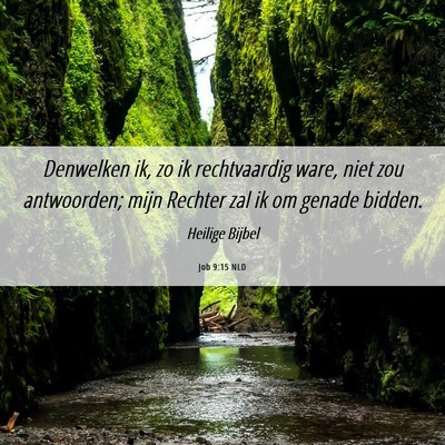 Picture 06 - Job 9:15 NLD - Denwelken ik, zo ik rechtvaardig ware, niet zou - Bible Verse Picture