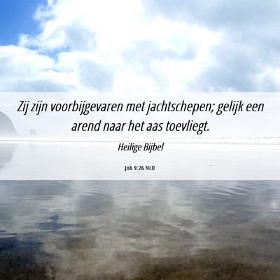 Picture 06 - Job 9:26 NLD - Zij zijn voorbijgevaren met jachtschepen; gelijk - Bible Verse Picture