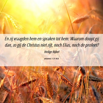 Picture 06 - Johannes 1:25 NLD - En zij vraagden hem en spraken tot hem: Waarom - Bible Verse Picture