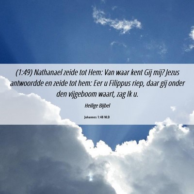Picture 06 - Johannes 1:48 NLD - (1:49) Nathanael zeide tot Hem: Van waar kent Gij - Bible Verse Picture