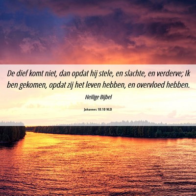 Picture 06 - Johannes 10:10 NLD - De dief komt niet, dan opdat hij stele, en - Bible Verse Picture