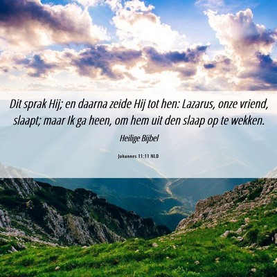 Picture 06 - Johannes 11:11 NLD - Dit sprak Hij; en daarna zeide Hij tot hen: - Bible Verse Picture