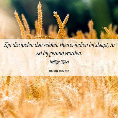 Picture 06 - Johannes 11:12 NLD - Zijn discipelen dan zeiden: Heere, indien hij - Bible Verse Picture