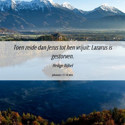 Picture 06 - Johannes 11:14 NLD - Toen zeide dan Jezus tot hen vrijuit: Lazarus is - Bible Verse Picture