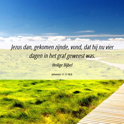 Picture 06 - Johannes 11:17 NLD - Jezus dan, gekomen zijnde, vond, dat hij nu vier - Bible Verse Picture