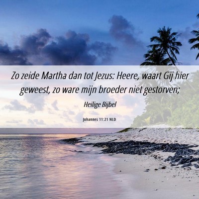 Picture 06 - Johannes 11:21 NLD - Zo zeide Martha dan tot Jezus: Heere, waart Gij - Bible Verse Picture