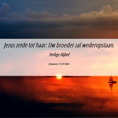 Picture 06 - Johannes 11:23 NLD - Jezus zeide tot haar: Uw broeder zal - Bible Verse Picture