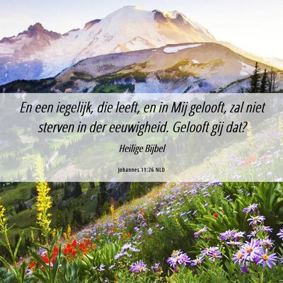 Picture 06 - Johannes 11:26 NLD - En een iegelijk, die leeft, en in Mij gelooft, - Bible Verse Picture