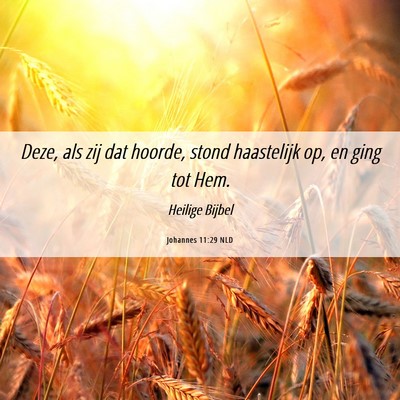 Picture 06 - Johannes 11:29 NLD - Deze, als zij dat hoorde, stond haastelijk op, en - Bible Verse Picture