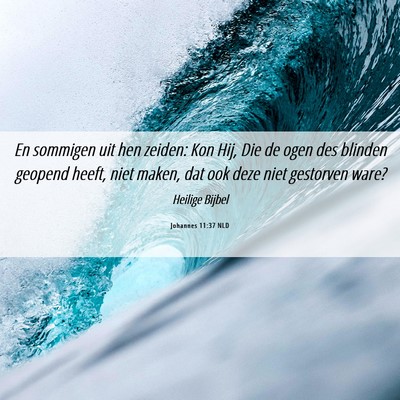 Picture 06 - Johannes 11:37 NLD - En sommigen uit hen zeiden: Kon Hij, Die de ogen - Bible Verse Picture