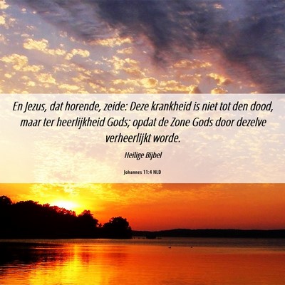Picture 06 - Johannes 11:4 NLD - En Jezus, dat horende, zeide: Deze krankheid is - Bible Verse Picture