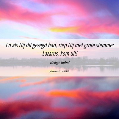 Picture 06 - Johannes 11:43 NLD - En als Hij dit gezegd had, riep Hij met grote - Bible Verse Picture