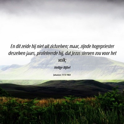 Picture 06 - Johannes 11:51 NLD - En dit zeide hij niet uit zichzelven; maar, - Bible Verse Picture